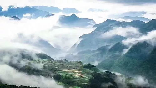 端午假期 2 3日名山大川系列活動來襲,古村 云海,搶車票 趕時間 休閑出行